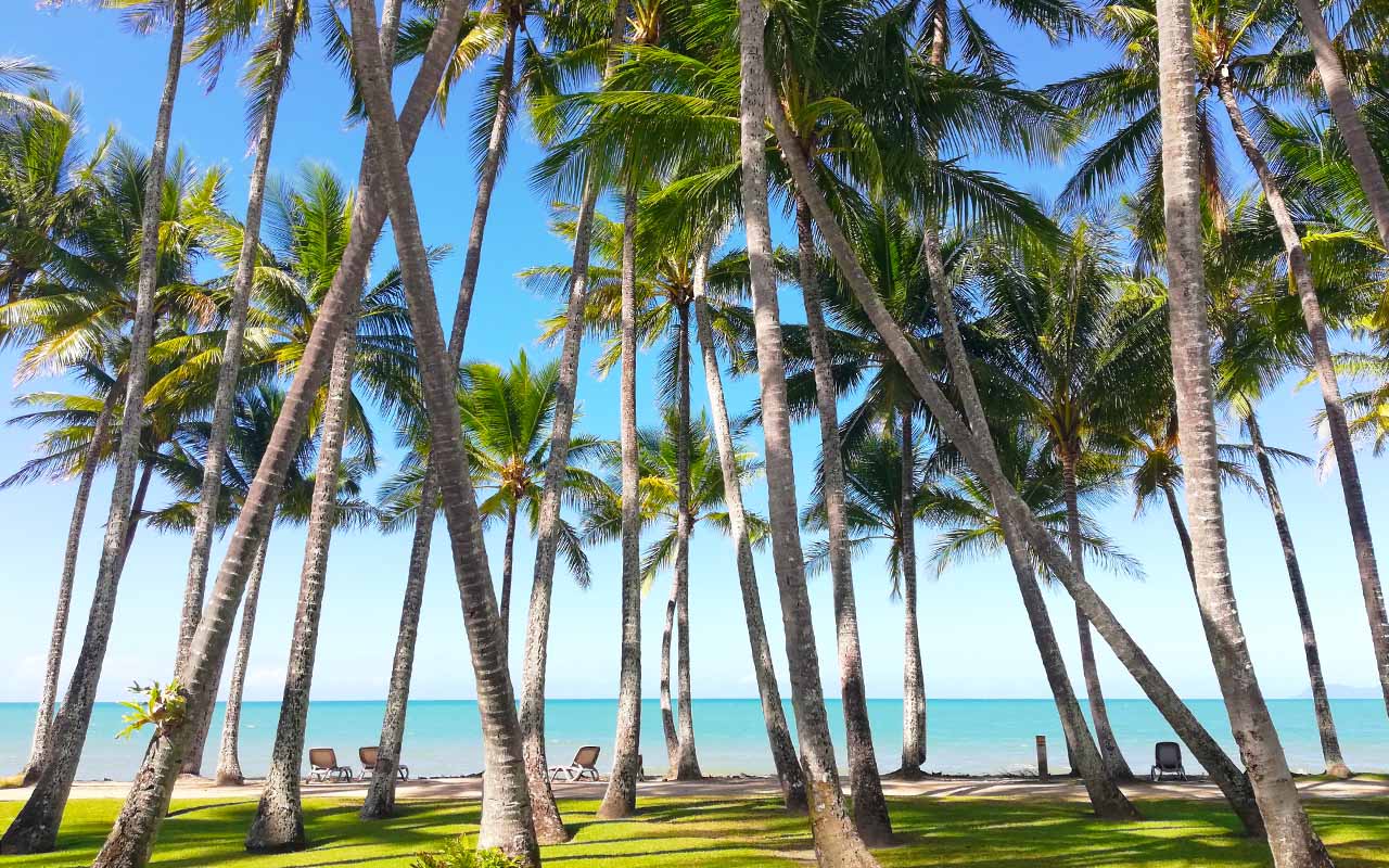 Palm Cove in Queensland, Australia