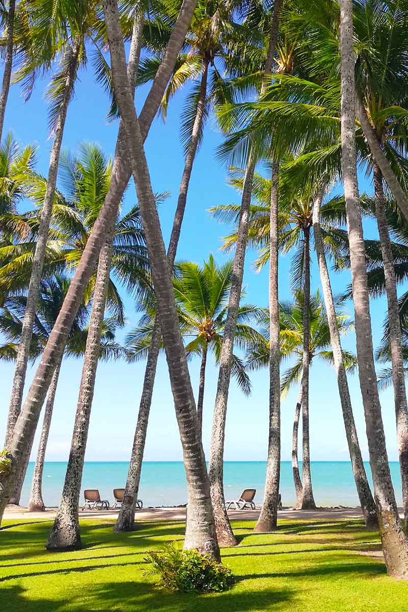 Palm Cove in Queenland, Australia