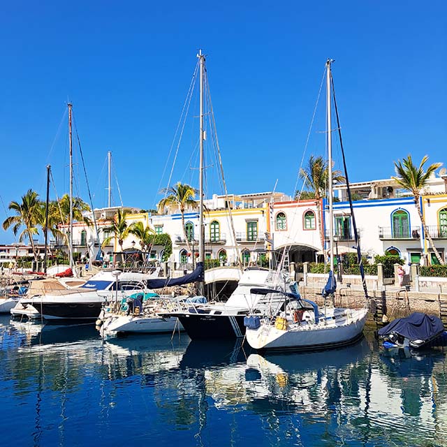 Puerto de Mogán, featuring yachts docked in the harbor, lined with palm trees and colorful houses