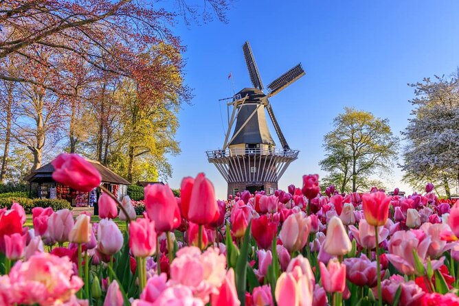 Keukenhof & Zaanse Schans Windmills Day Trip from Amsterdam