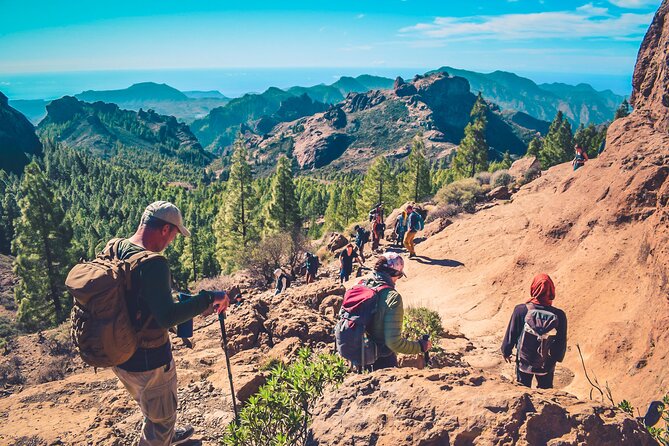 The Volcano Heart Tour Hiking, Tasting and Sunset Experience