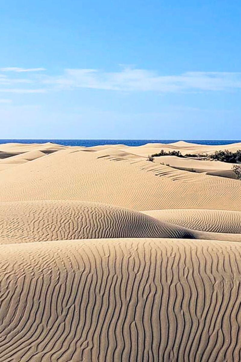 Maspalomas sand dunes in Gran Canaria with blue sky and light clouds