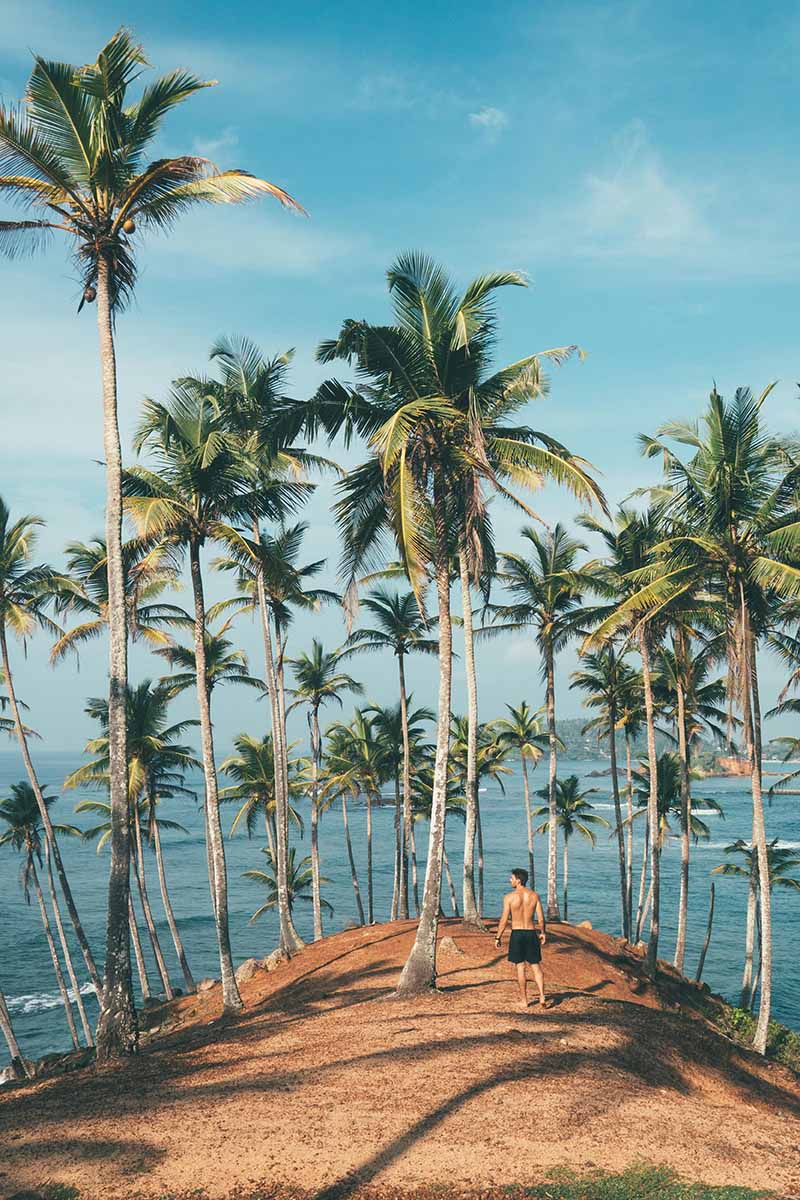 A picturesque scene with a man near the sea, framed by swaying palm trees in Sri Lanka, highlighting the beauty of nature and the importance of eco-friendly travel.