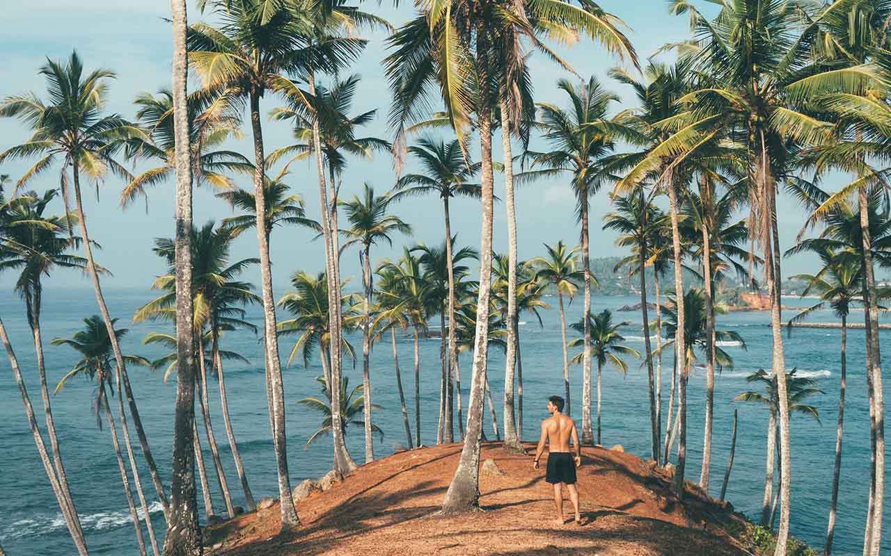 A picturesque scene with a man near the sea, framed by swaying palm trees in Sri Lanka, highlighting the beauty of nature and the importance of eco-friendly travel.